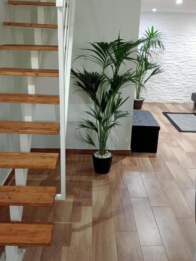 Maison Damas Barletta Ngoại thất bức ảnh